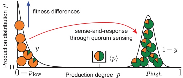 Box 1—figure 1.