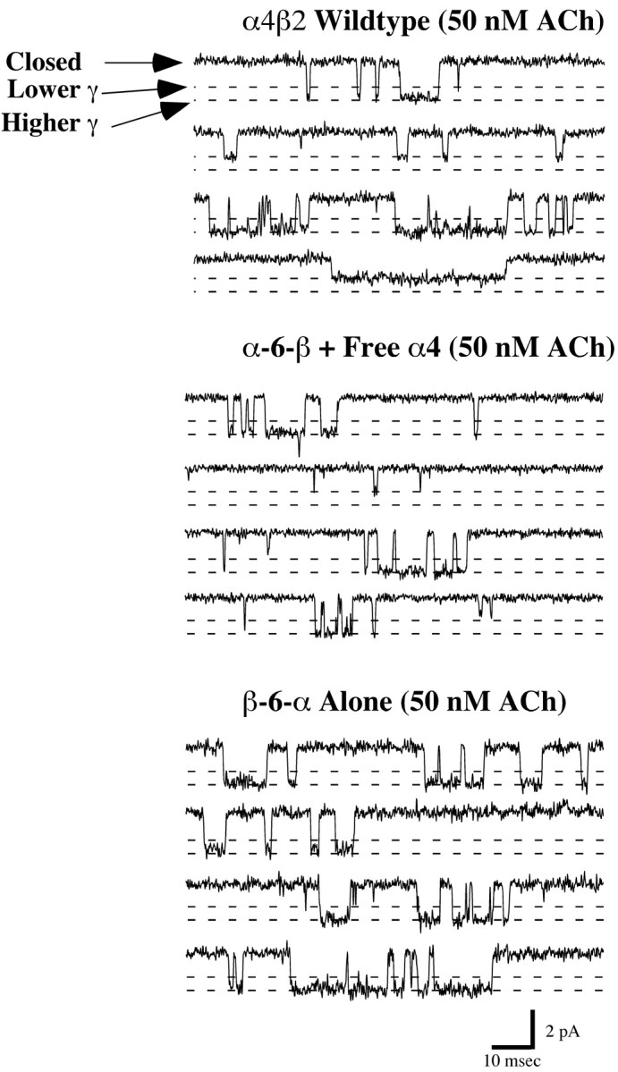 Figure 10.