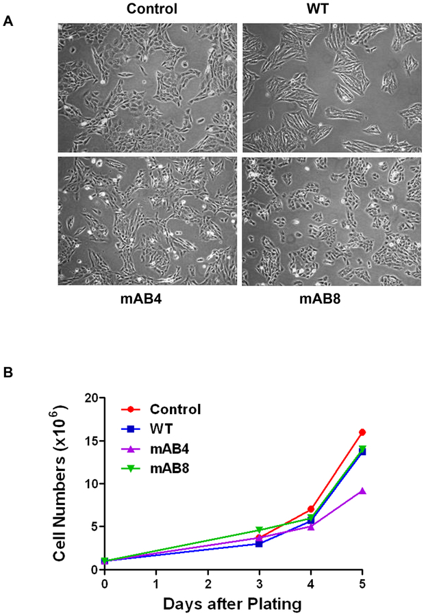 Figure 4.