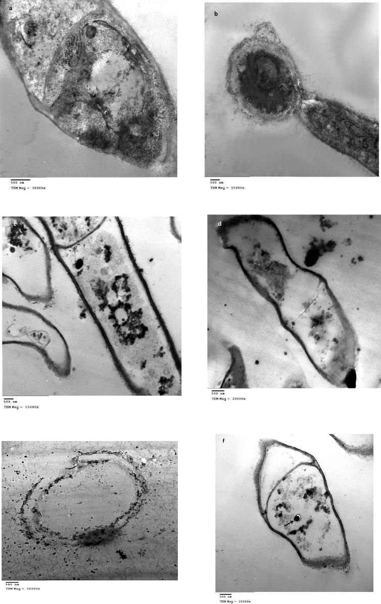 Figure 3