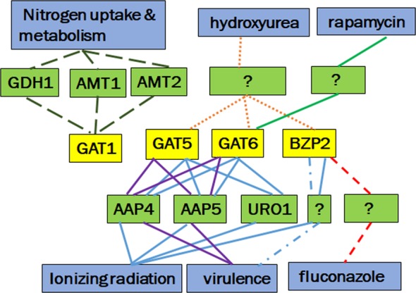 Figure 7