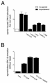 FIG. 6