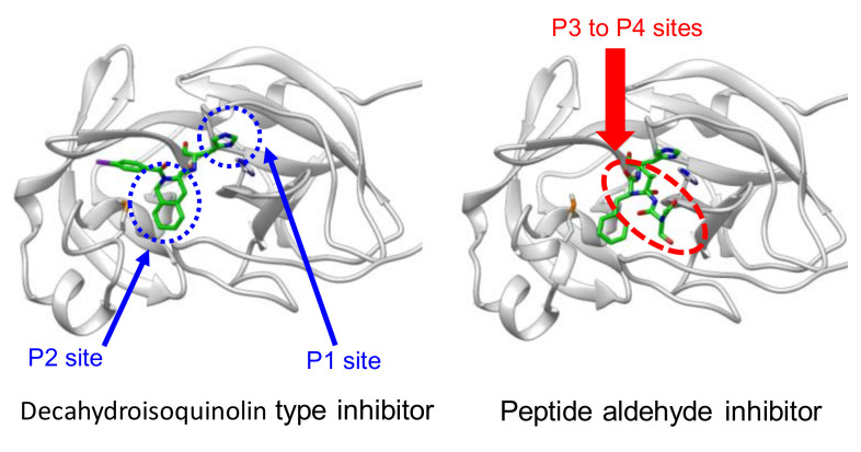 Figure 15