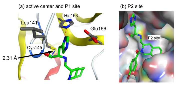 Figure 14