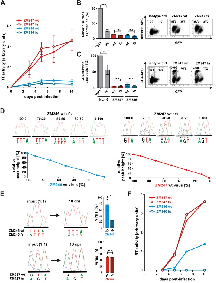 Fig 6