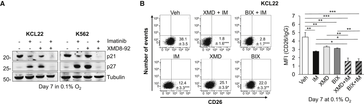 Figure 6