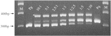 Fig. 5