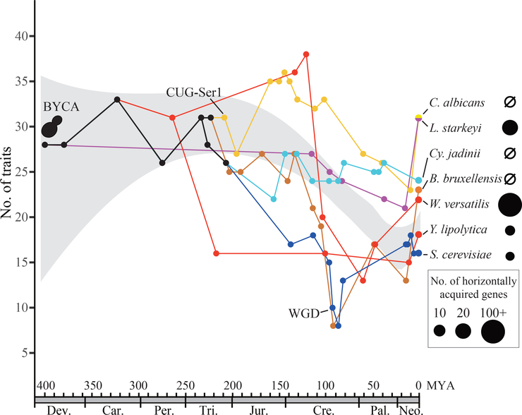 Figure 6.