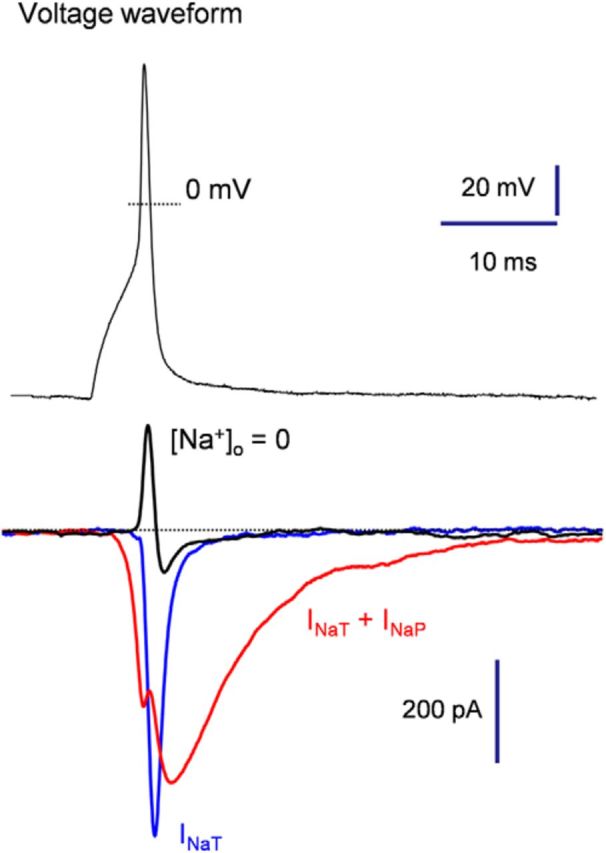 Figure 8.