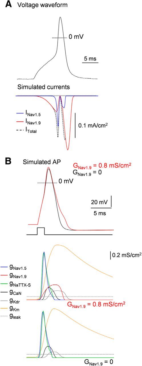 Figure 9.