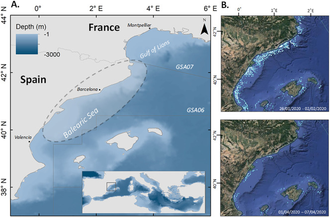 Fig. 1