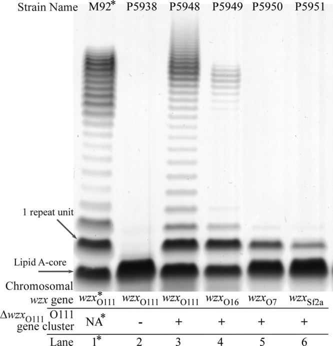 FIG 4