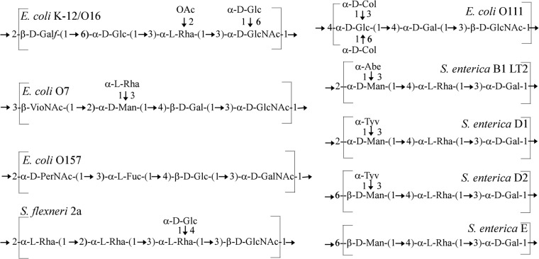 FIG 2