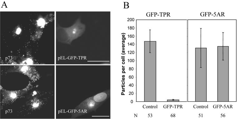 FIG. 9.