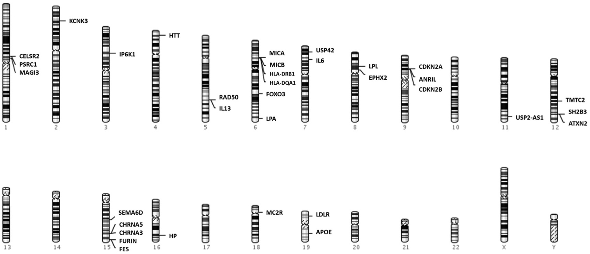 Fig 1.