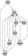 Figure 5.
