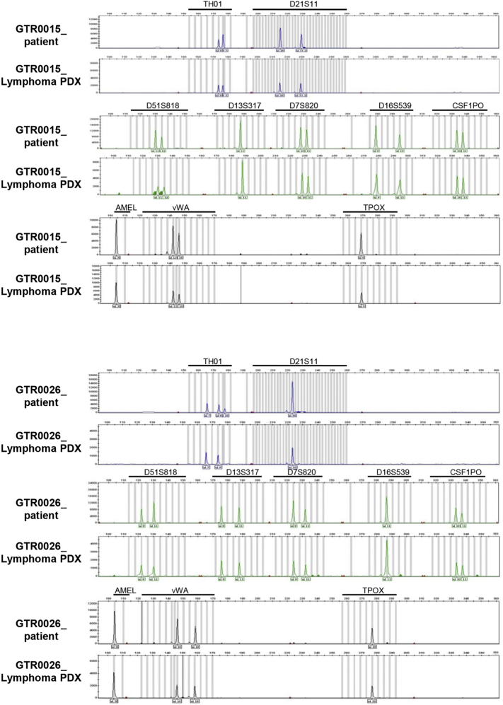 Supplementary Figure 1