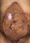 Fig. 6.