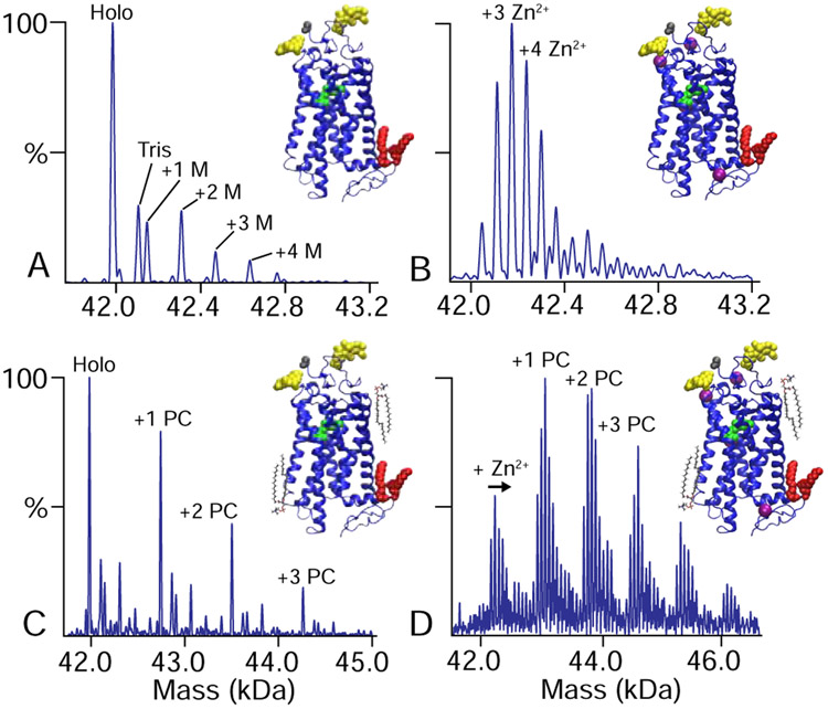 Figure 2.