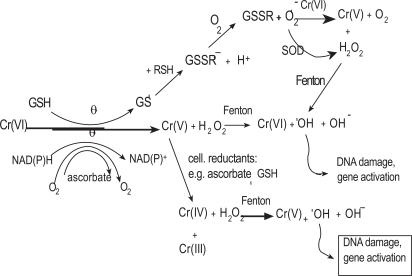 Fig. (3)