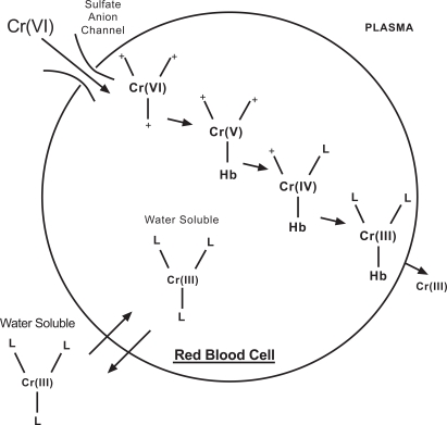 Fig. (1)