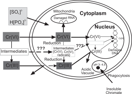 Fig. (2)