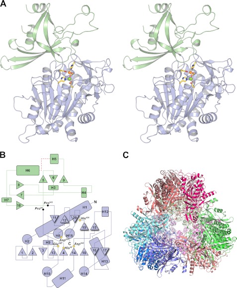 FIGURE 2.