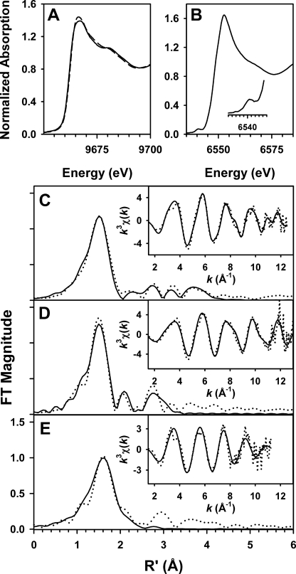 FIGURE 5.