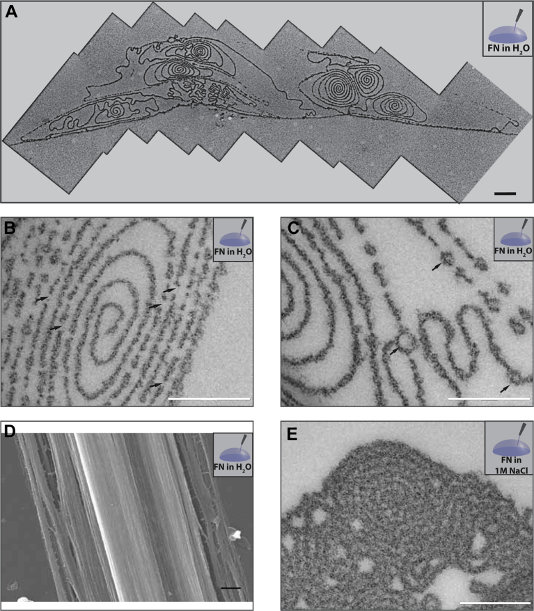 Fig. 4