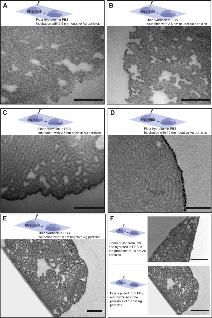 Fig. 7