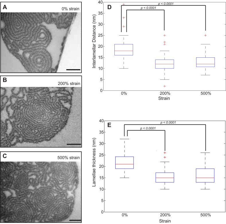 Fig. 6