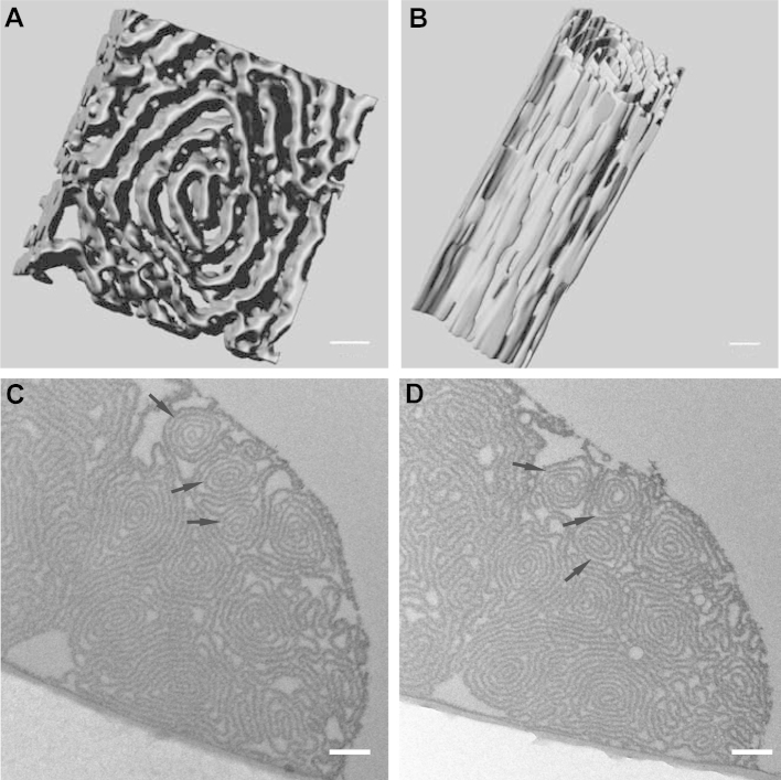 Fig. 3