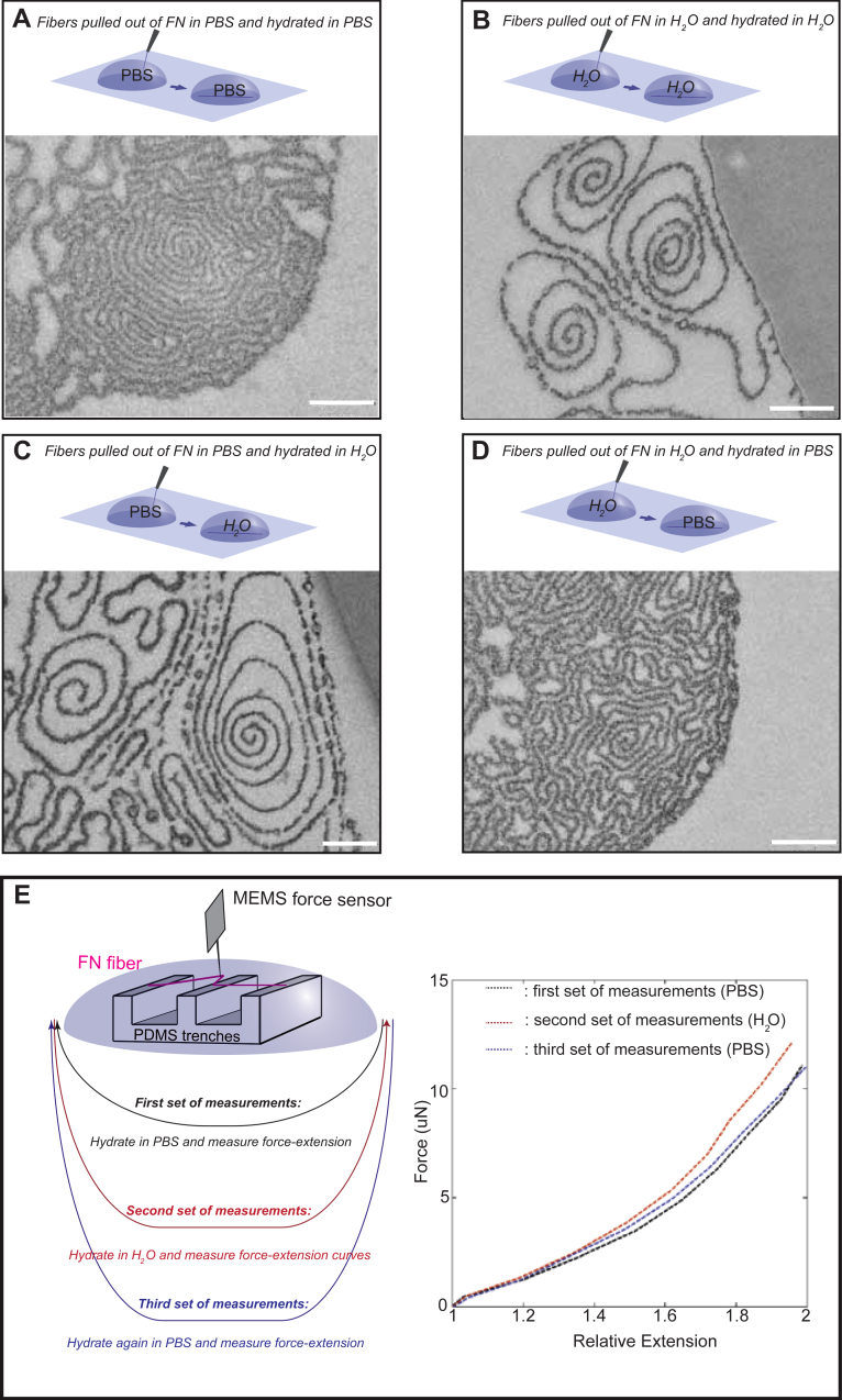 Fig. 5