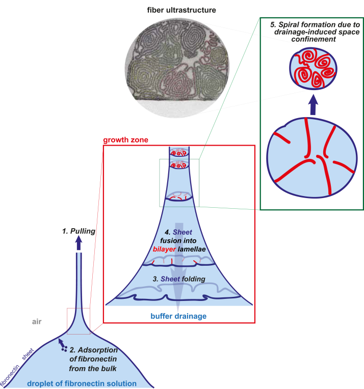 Fig. 8