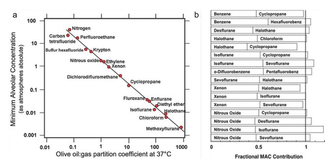 Figure 1.