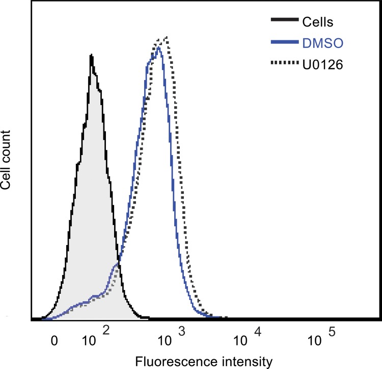 FIG 4