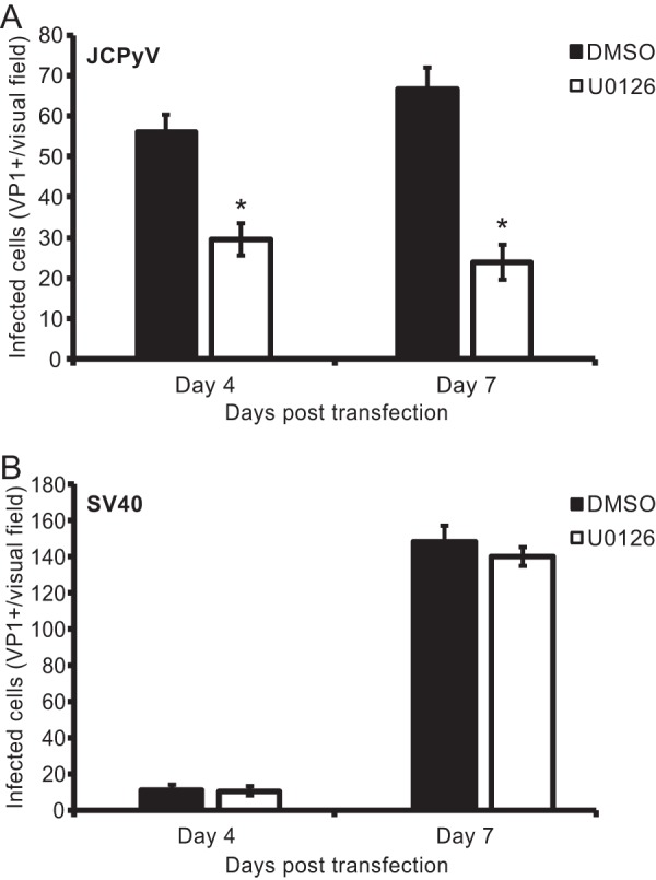 FIG 6