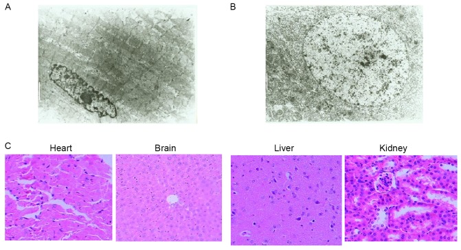 Figure 6.