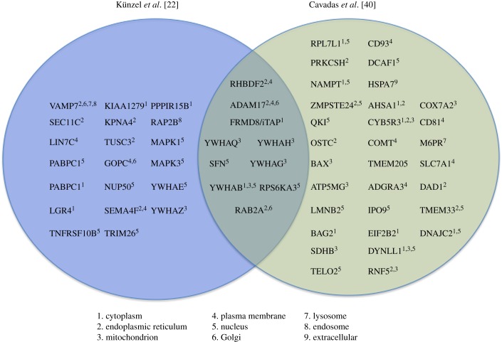 Figure 5.