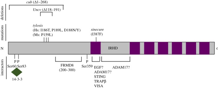 Figure 4.