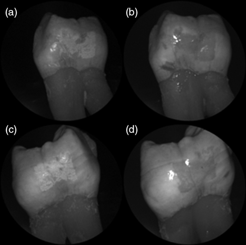 Fig. 6