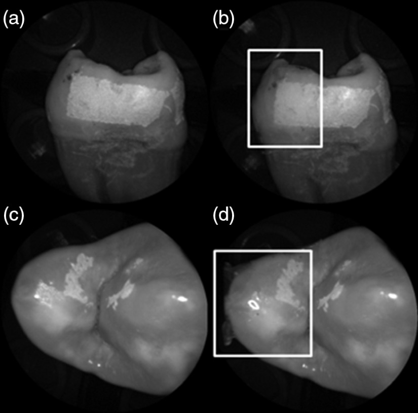 Fig. 8