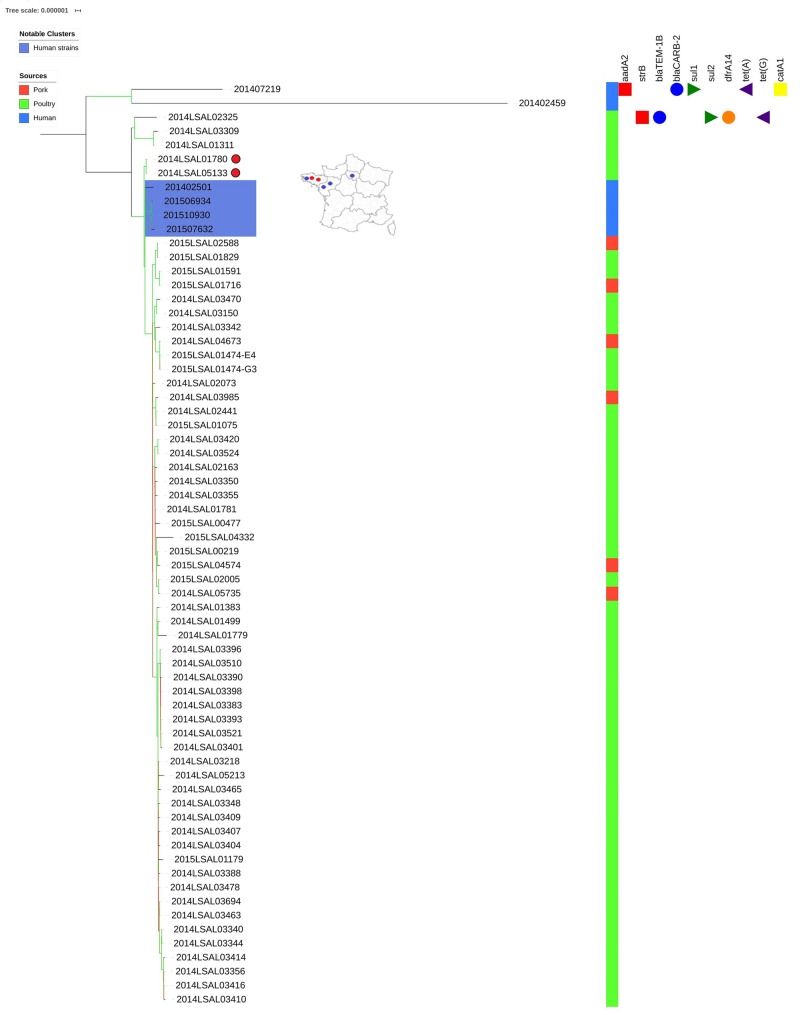 FIGURE 3