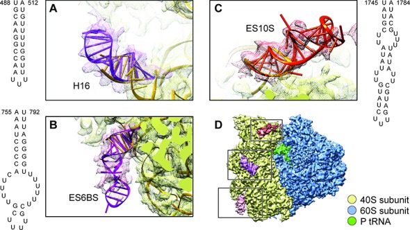 Figure 3.