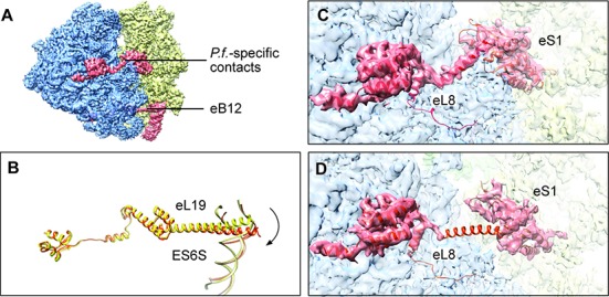 Figure 5.