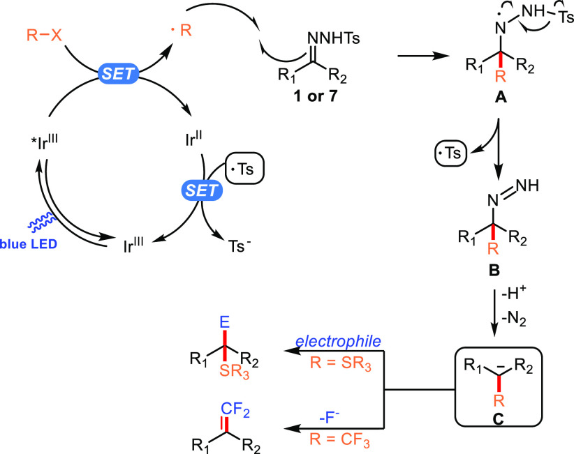 Scheme 3