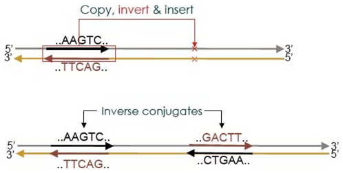 Figure 10