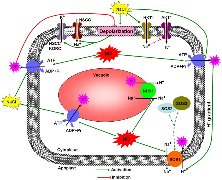 Figure 6