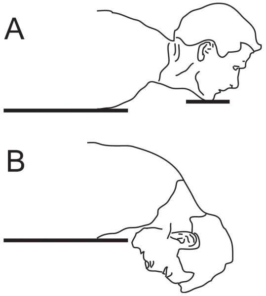 Fig. 18