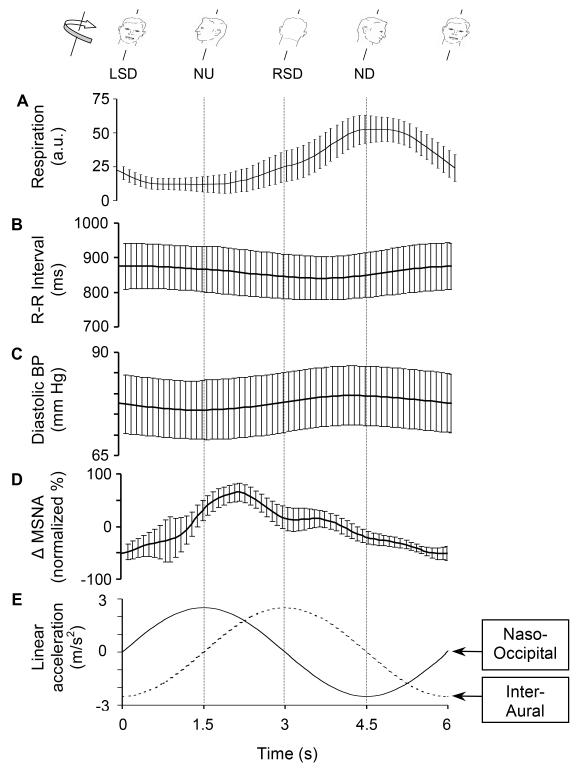 Fig. 20